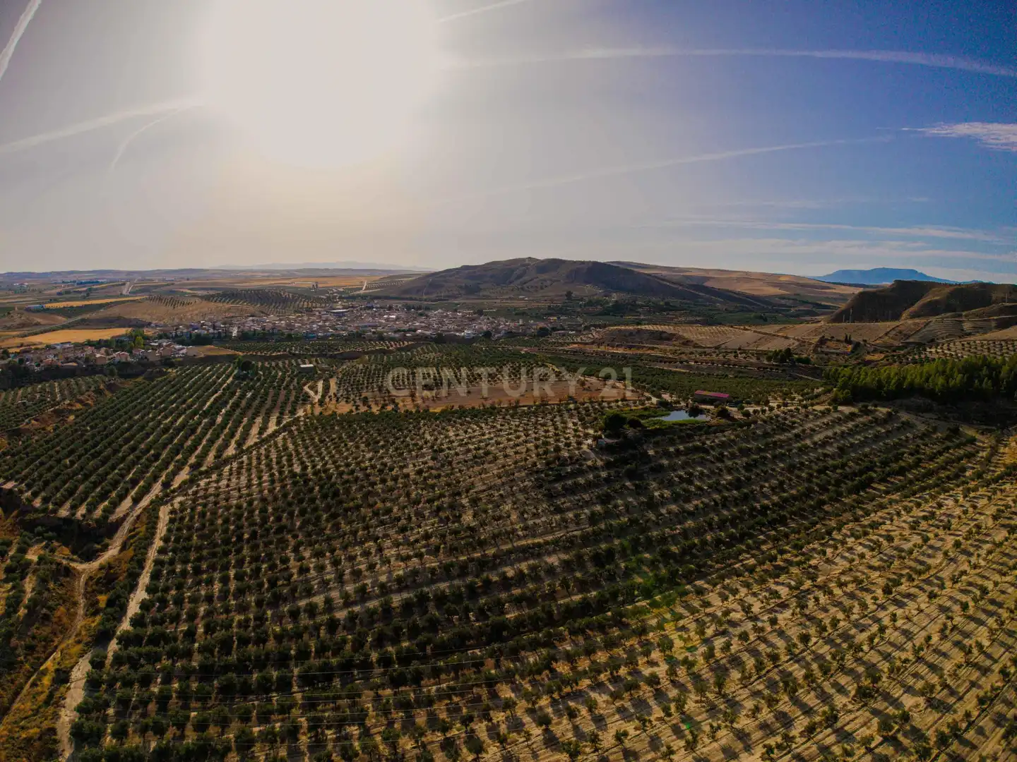 Terreno rústico en venta en 472M+GF La Malahá, Spain, imagen 10