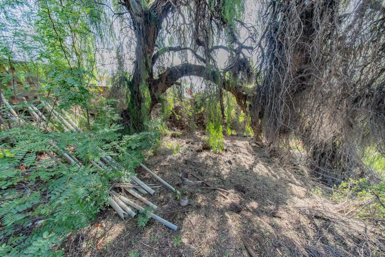 Casa o xalet en venda en Santa Cruz de Tenerife amb Jardí privat, Terrassa i Piscina