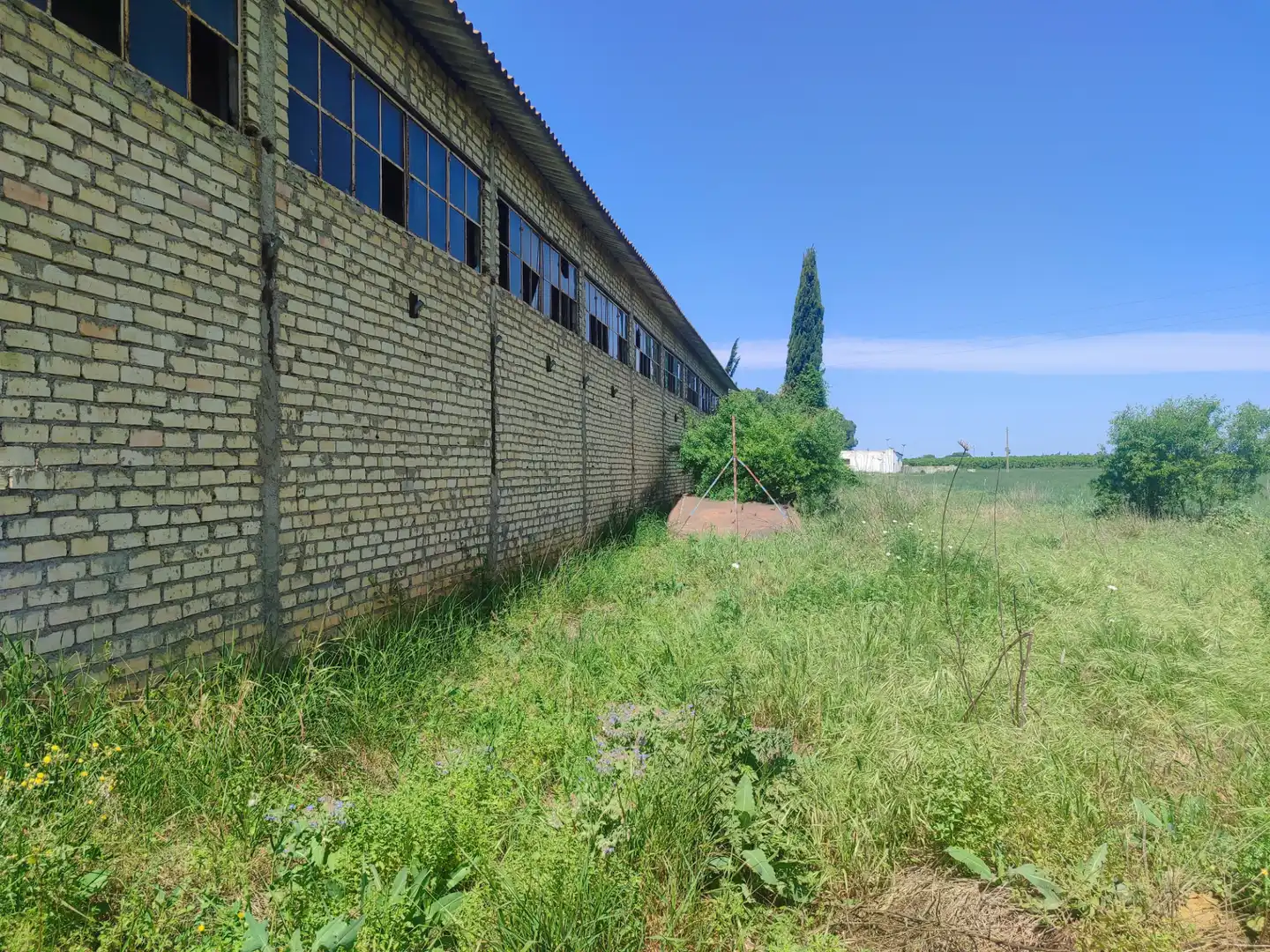 Vista exterior de Nave industrial en venta en Utrera