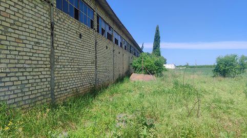 Foto 5 von Fabrikhallen zum Verkauf in Diseminado Diseminados, 566, Pedanías Norte, Utrera