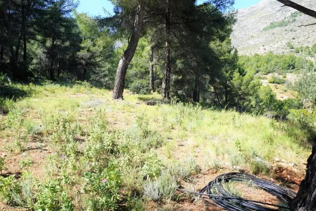 Terreny residencial en venda a Callosa d'en Sarrià, imagen 25