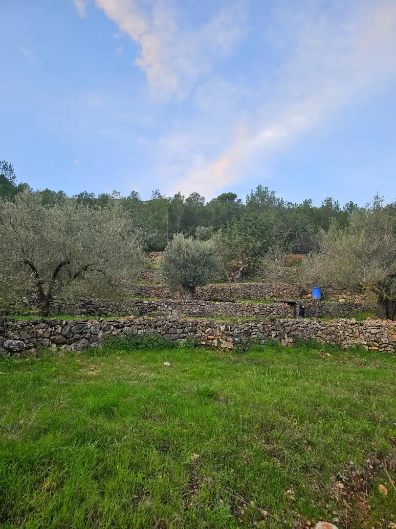 Rural land for sale in Alcanar, imagen 7