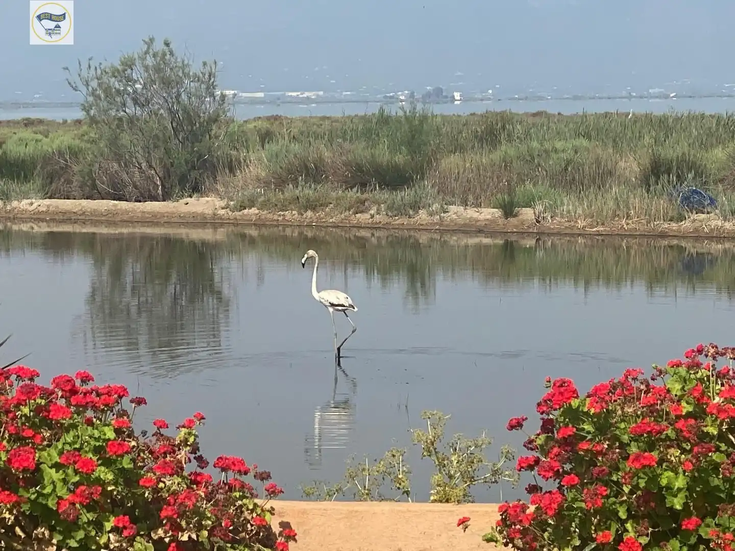 Villa zum Verkauf in Eucaliptus- Poble Nou del Delta, imagen 7