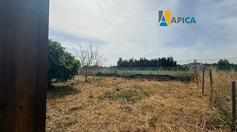 Photo 4 of Houses for sale in Pelagatos - Pago del Humo, Chiclana de la Frontera