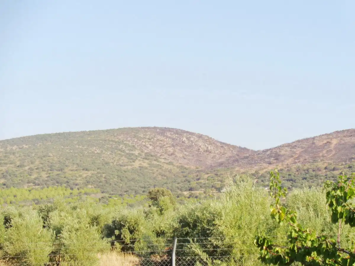 Country homes for sale in Moral de Calatrava