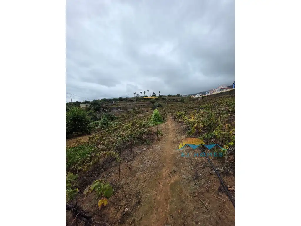 Houses for sale in La Orotava