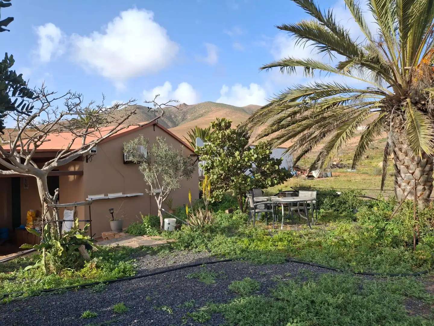 Vista exterior de Finca rústica en venda en Pájara amb Jardí privat, Terrassa i Traster