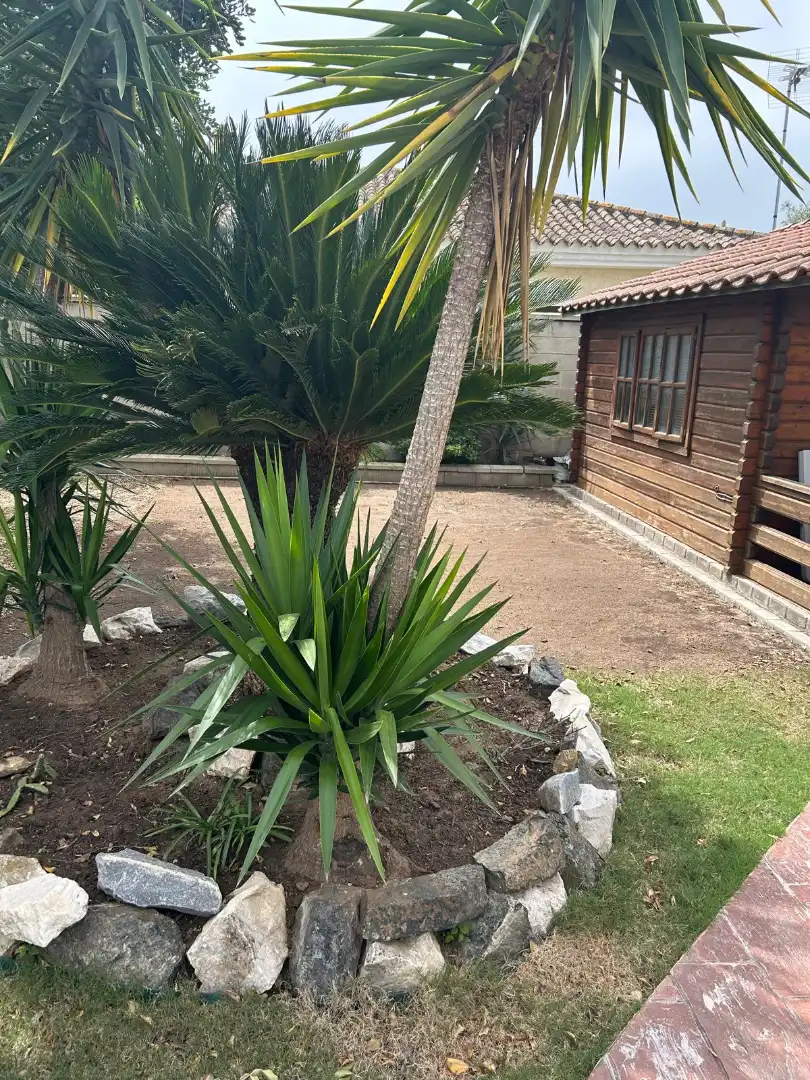 Chalet con piscina en venta en Arcos de la Frontera, imagen 11