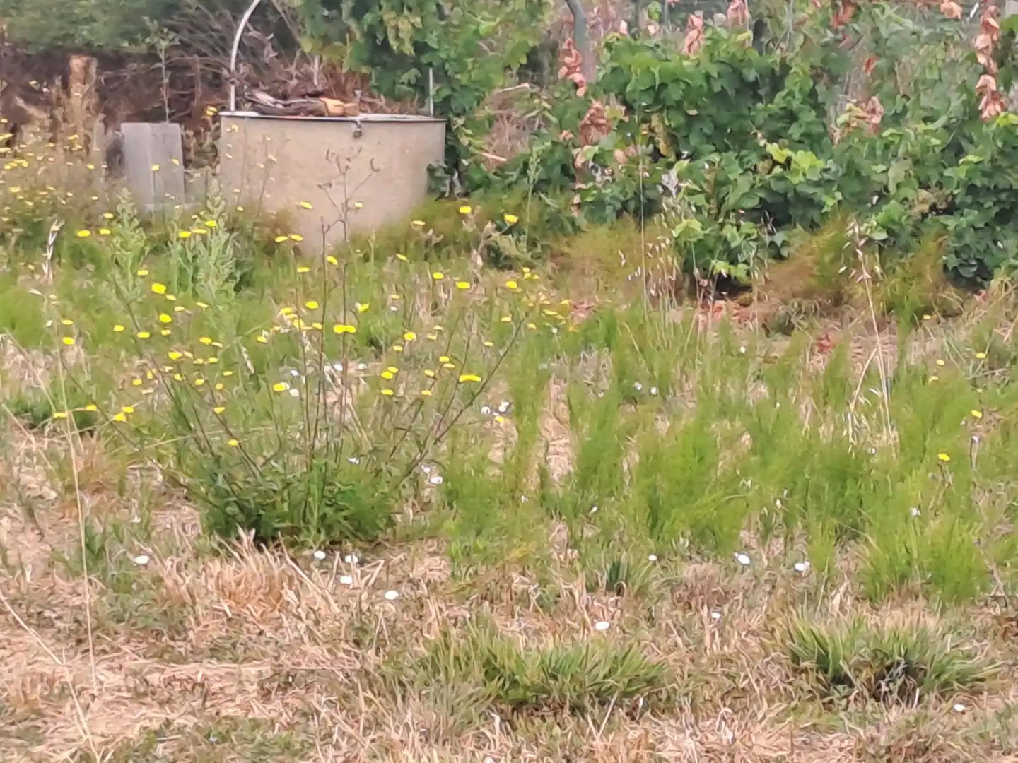 Jardín de Residencial en venta en Ponferrada