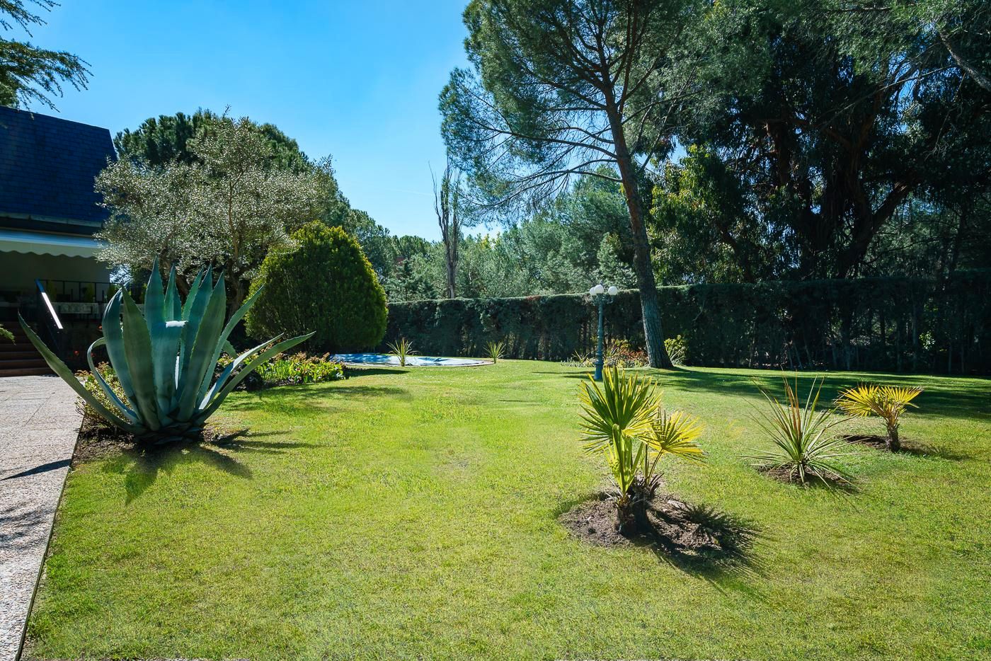 Garden of House or chalet for sale in Las Rozas de Madrid