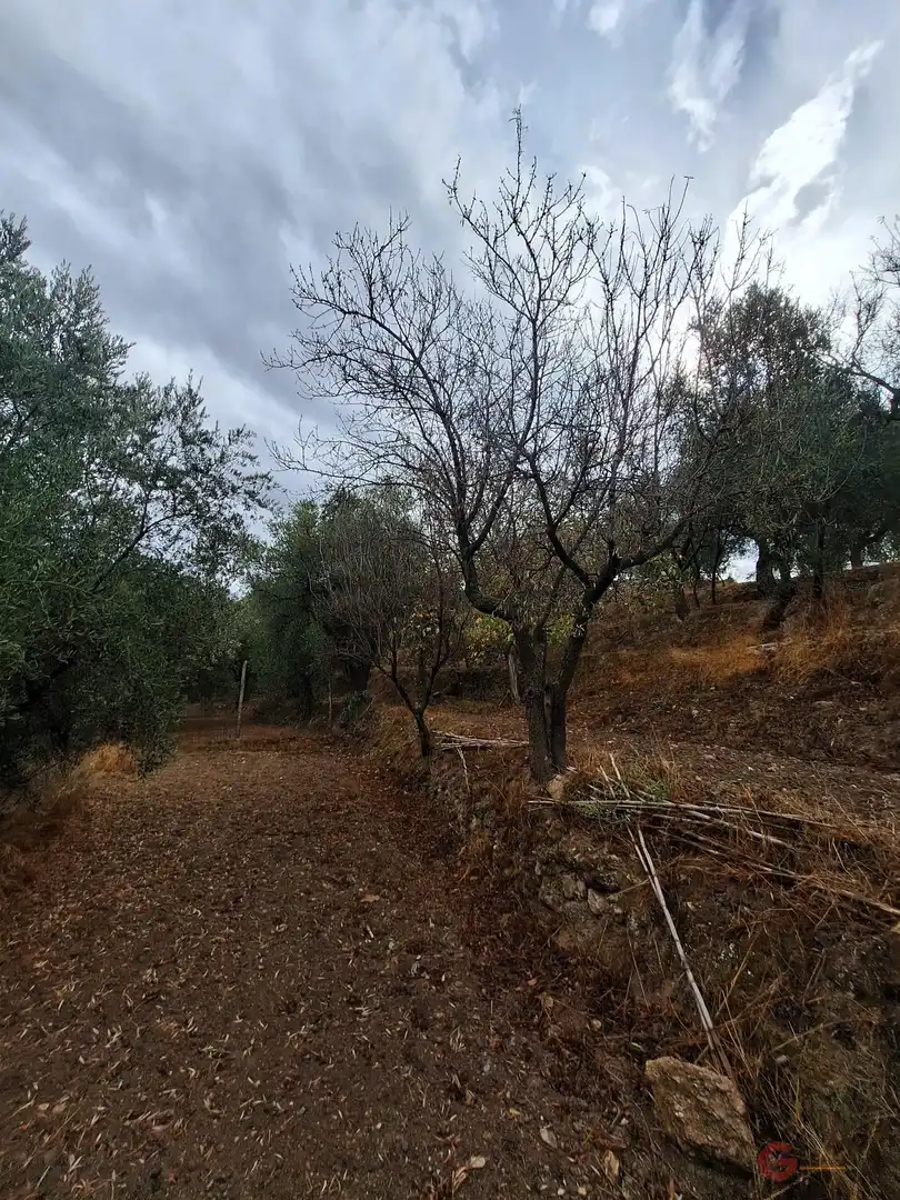 Casa rústica en venda a Lanjarón, imagen 17