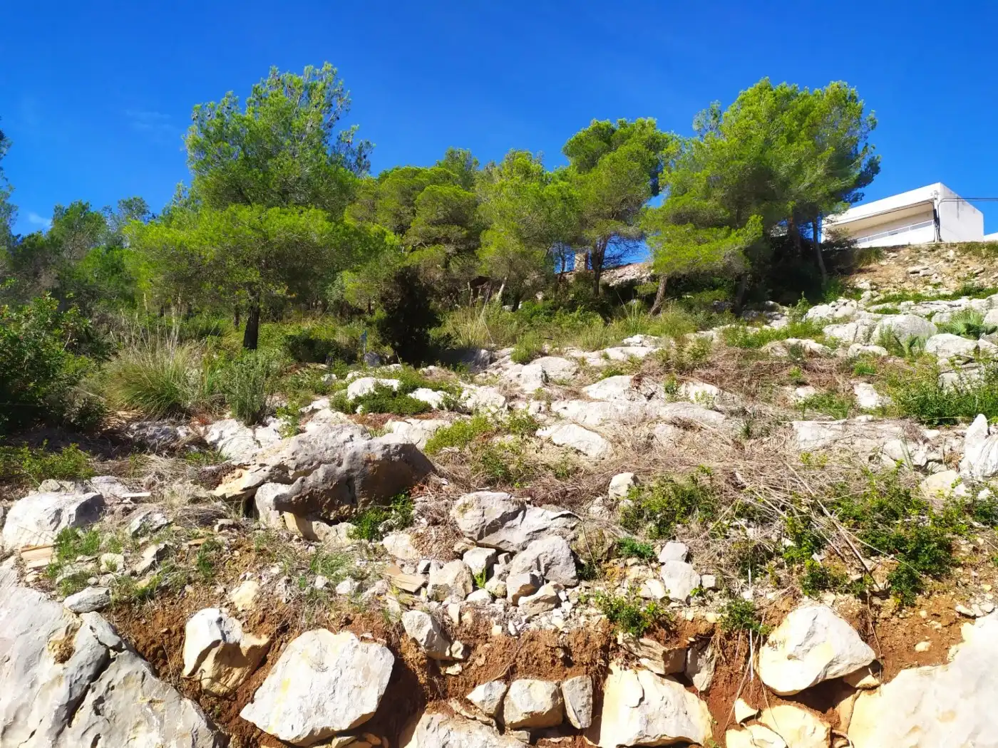 Terrenys i solars en venda a Canyelles, imagen 4