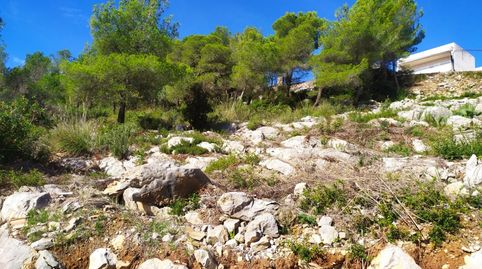 TERRENO EN LA COGULLADA CANYELLES, immagine 4
