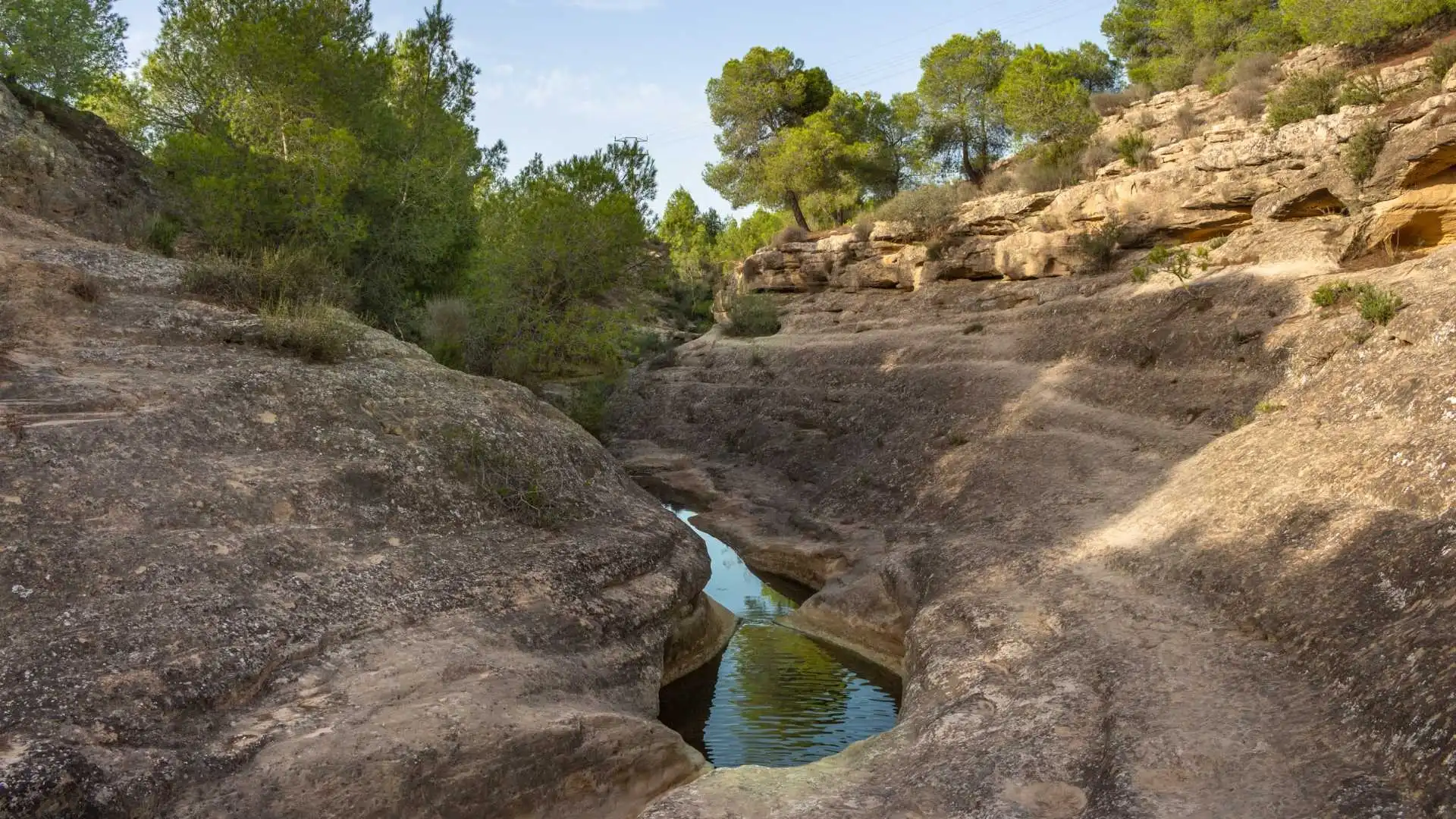 Piscina de Casa o xalet en venda en Algorfa, Alicante