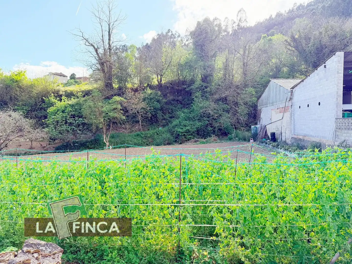 Residencial en venda a POLIGONO 9 AGONES, Pravia
