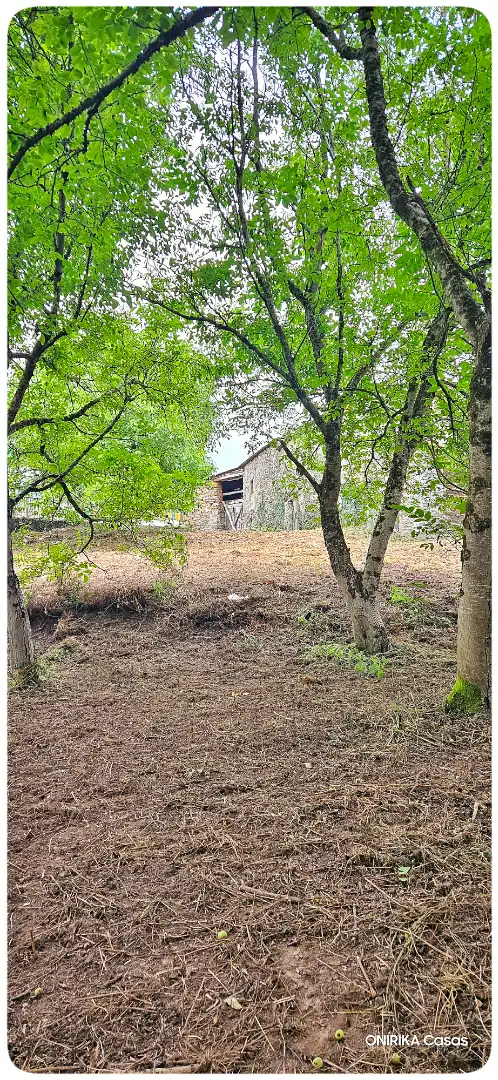 Casa o chalet en venta en Triacastela con Jardín privado, Trastero y Balcón