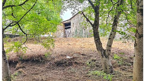 Foto 5 de Casa o xalet en venda a Avenida Camilo José Cela, 6, Triacastela, Lugo