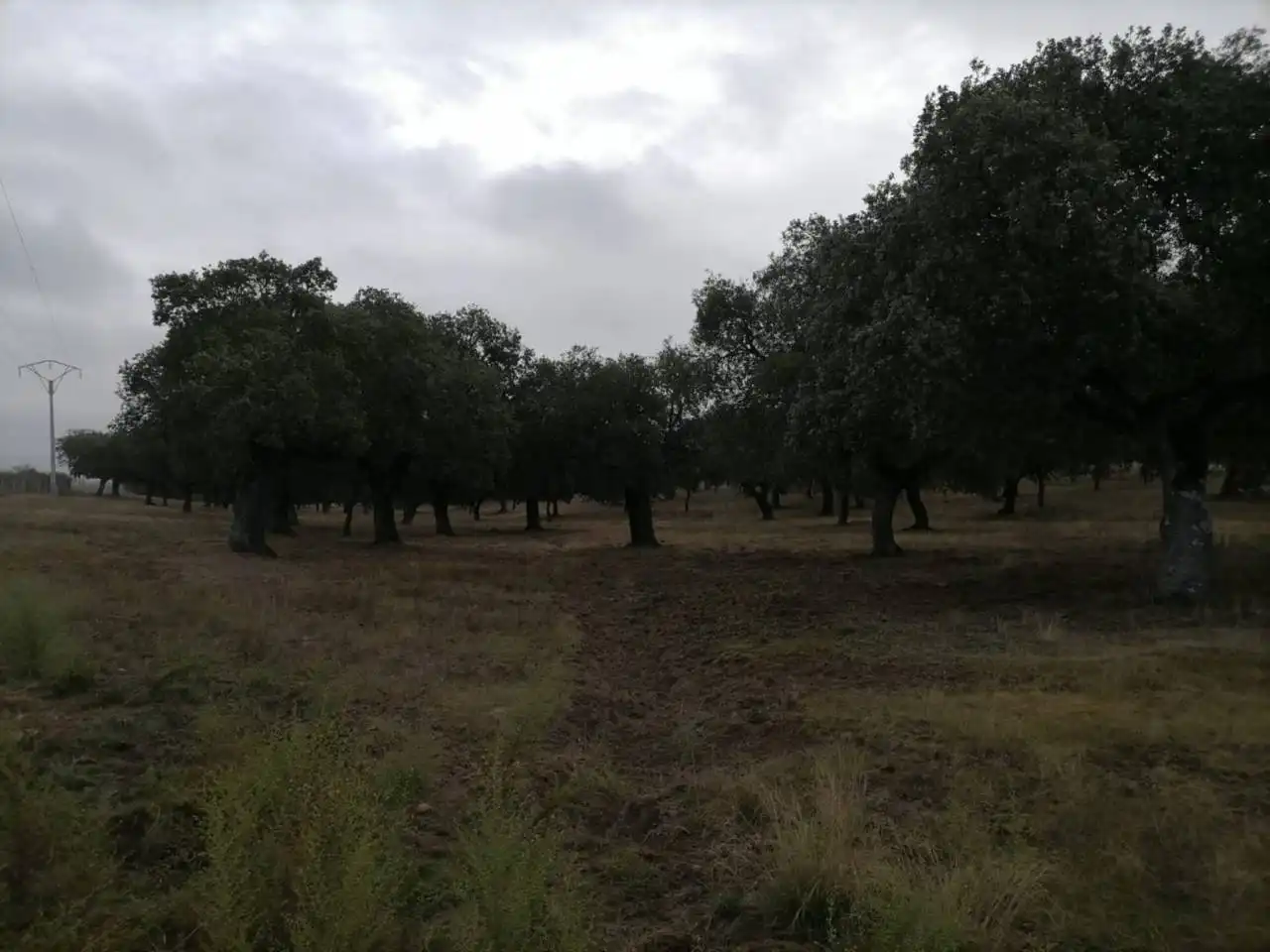 Terreno en venta en Poligono 1, La Alameda de Gardón