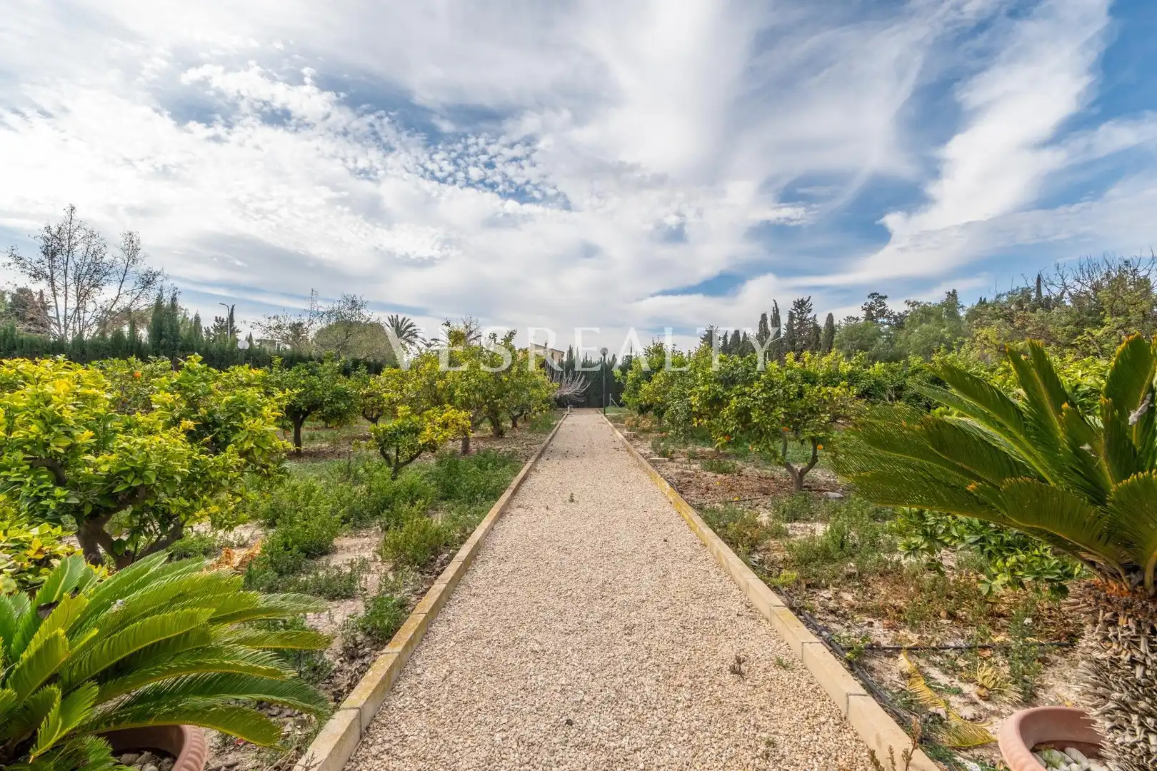 Casa o xalet en venda en Alicante / Alacant amb Calefacció, Jardí privat i Terrassa