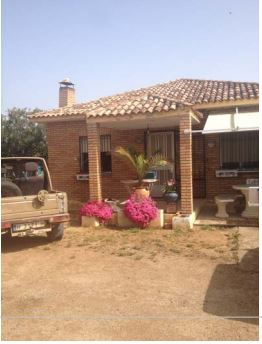 Vista exterior de Casa o xalet en venda en Alamillo