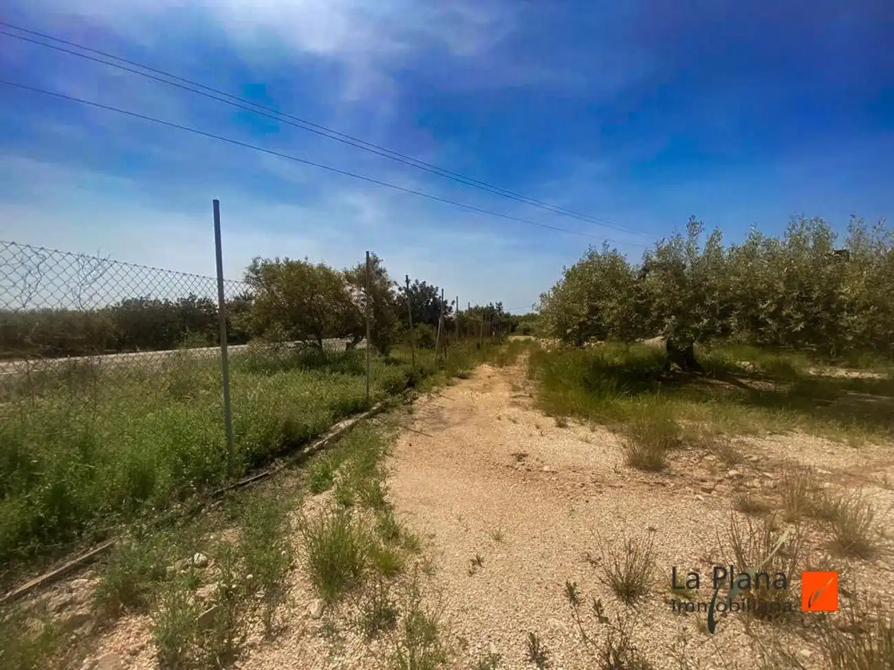 Terreno rustico in vendita a Alcanar, imagen 33