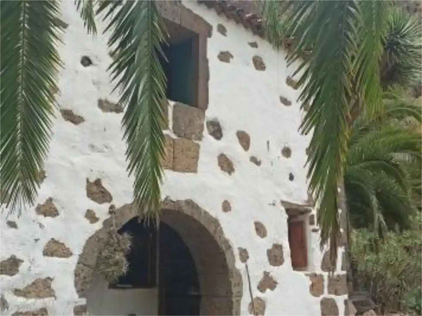 Vista exterior de Finca rústica en venda en Firgas