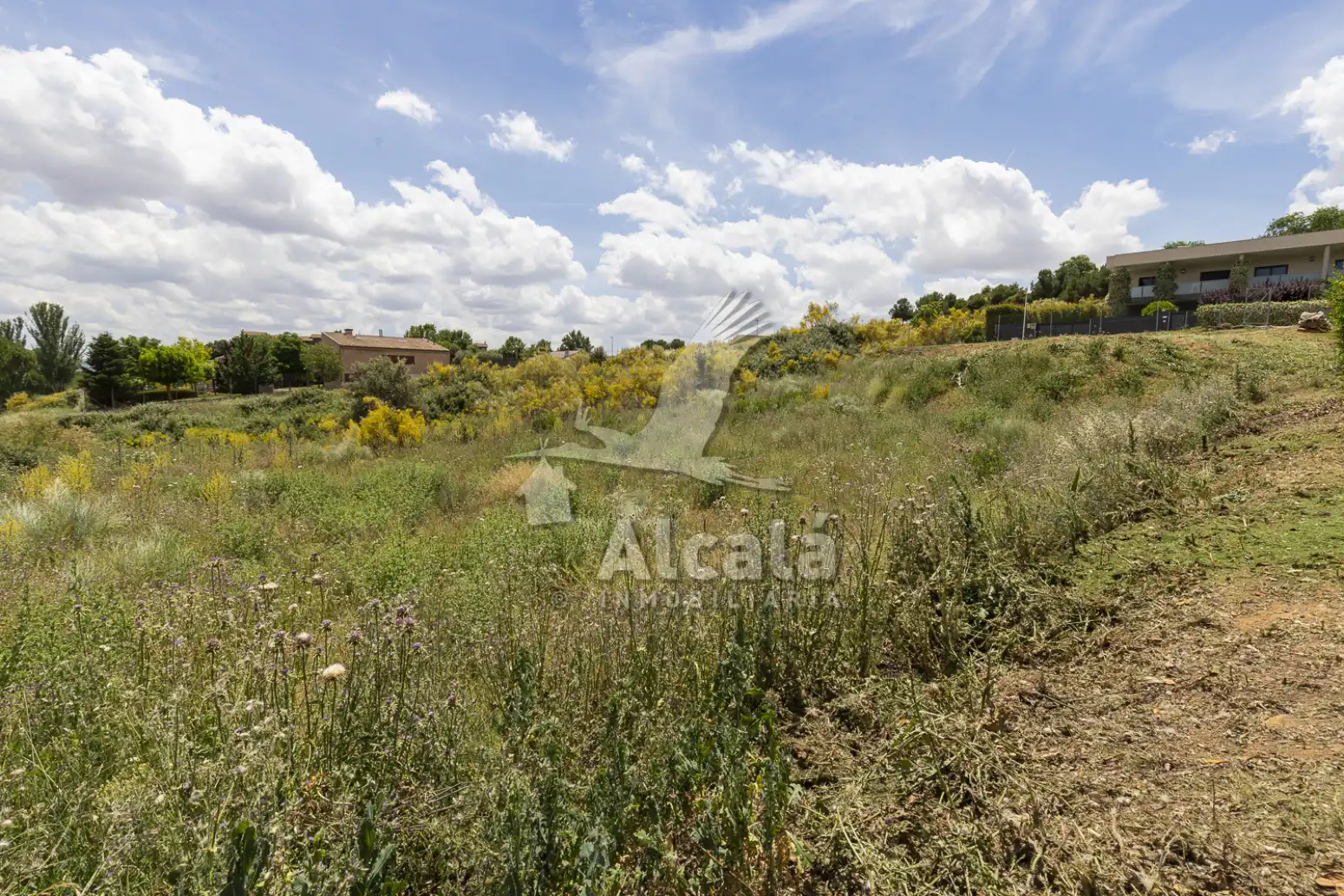 Terreny rústic en venda a Cabanillas del Campo, imagen 22