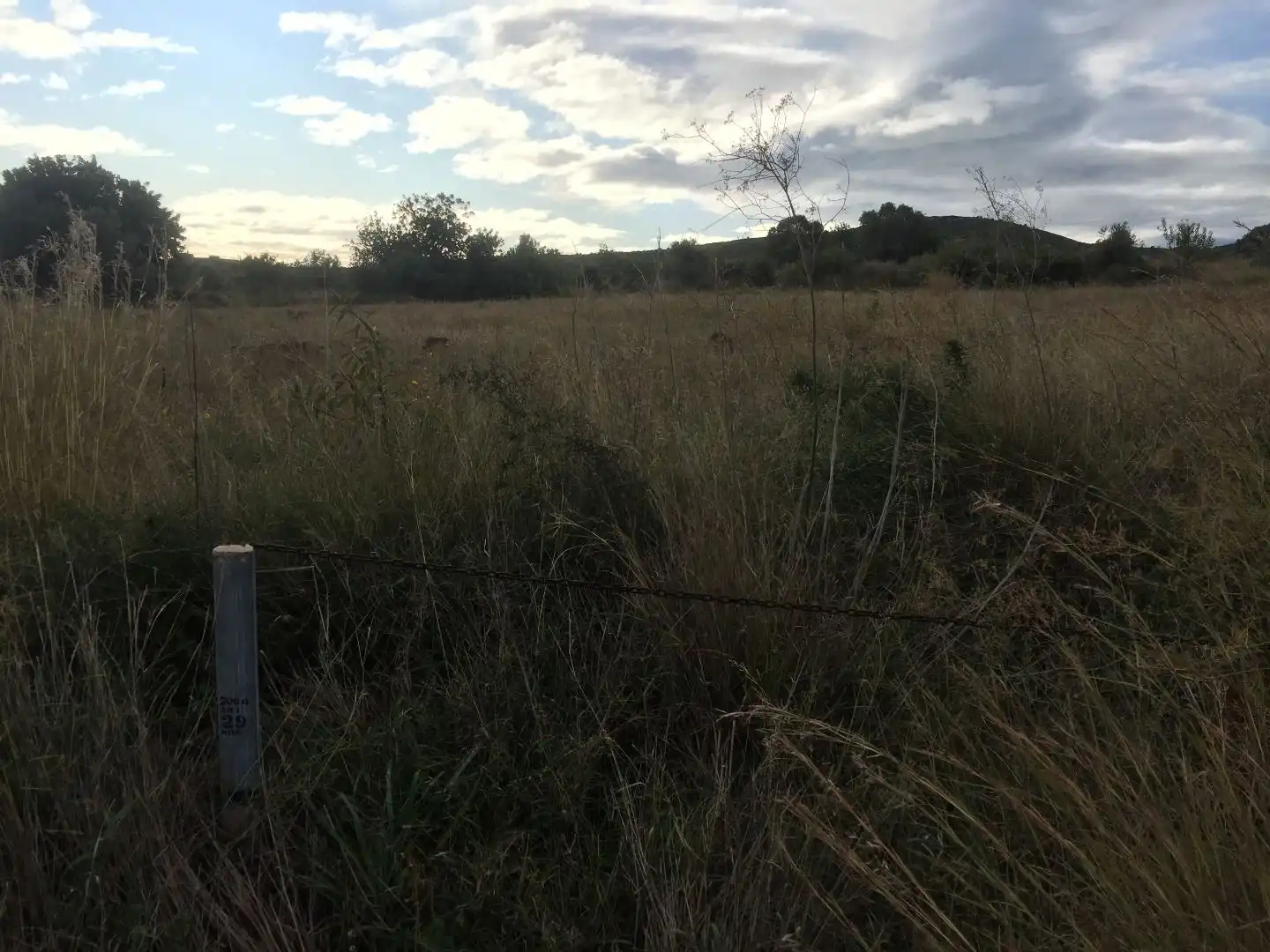 Terreny rústic en venda a Las Atalayas - Urmi - Cerro de Mar, imagen 3