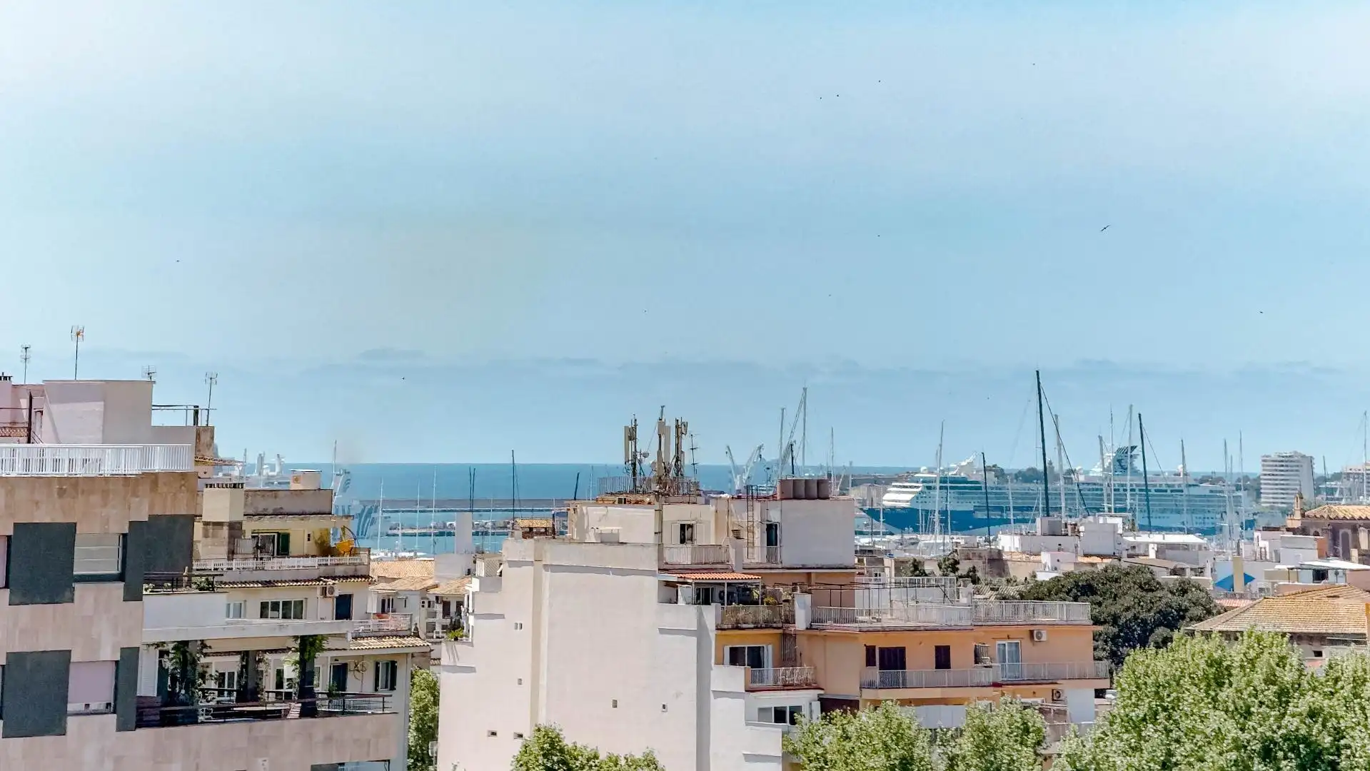 Vista exterior de Pis en venda en  Palma de Mallorca amb Aire condicionat, Calefacció i Parquet