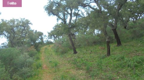 Foto 3 de Finca rústica en venta en Santiago - Coronación, Jerez de la Frontera