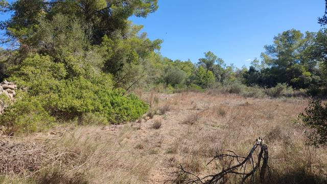 Terreno en Venta en Diseminado Diseminados Var, 144 en Sant Joan