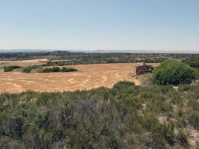 Finca rústica en venta en Alcañiz