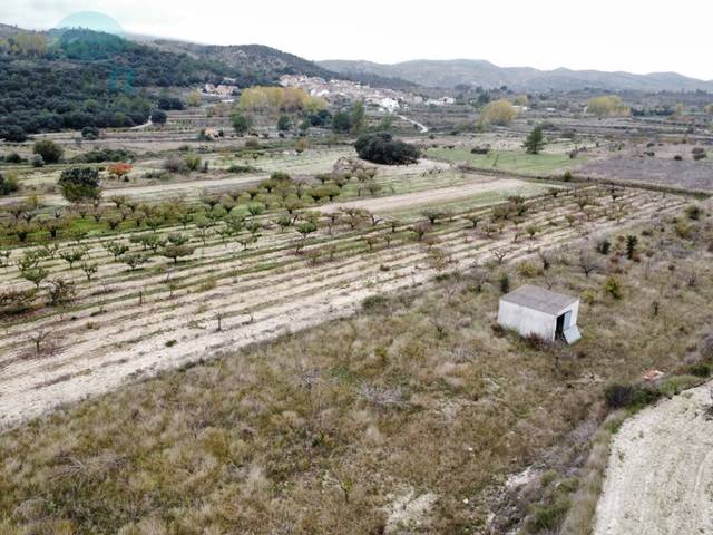 Terreno en Venta en N/A en La Vall d'Alcalà