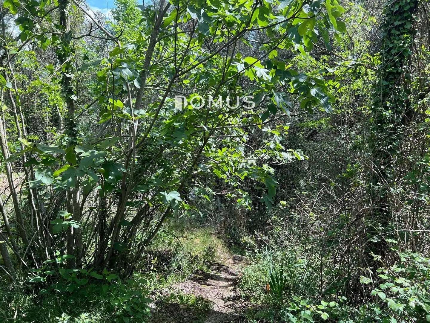 Finca rústica en venta en Sant Joan Les Fonts