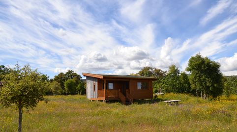 VENTA DE FINCA CON BUNGALOW EN TORREMENGA, imatge 2