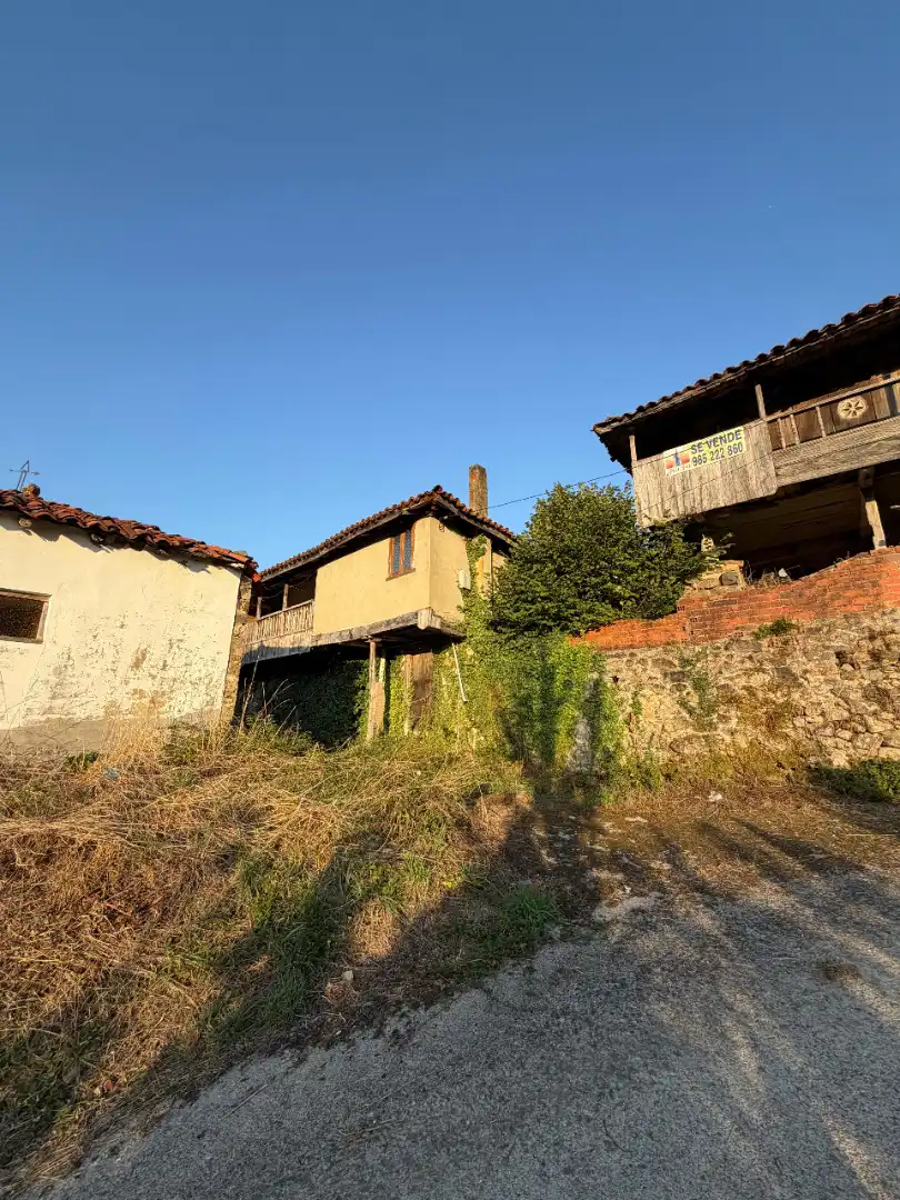 Rural land for sale in Tineo, imagen 9