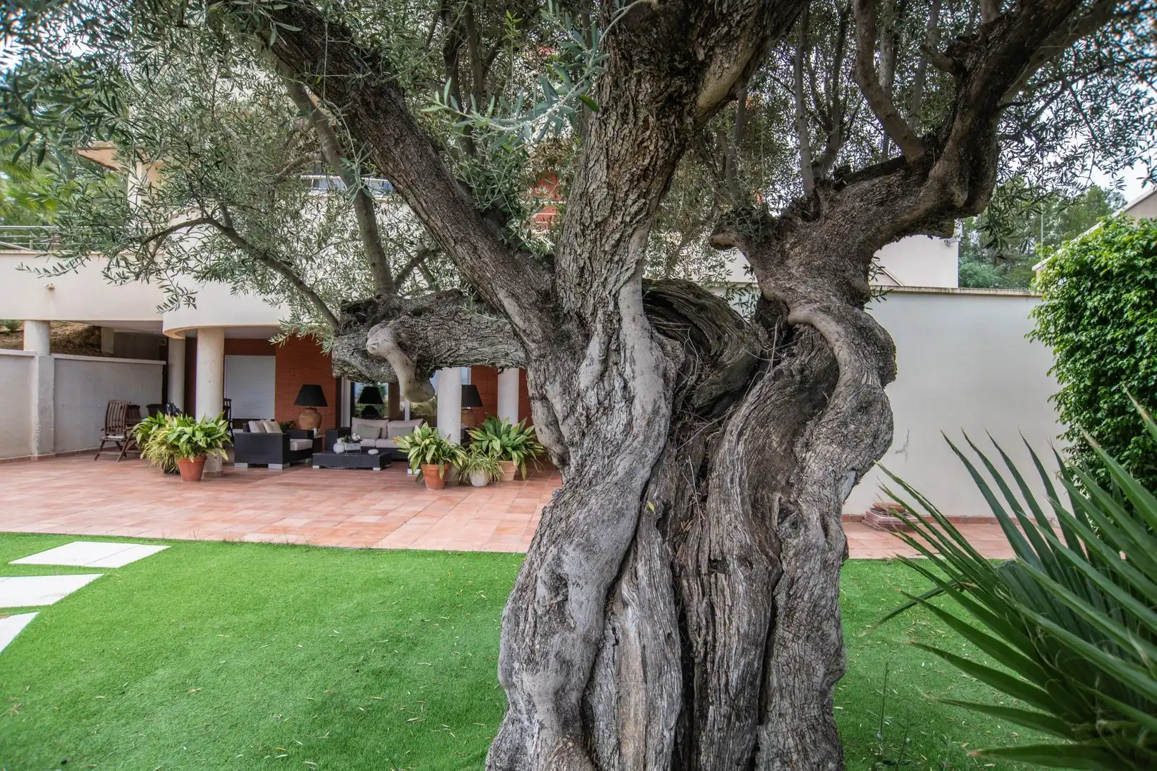 Jardín de Casa o chalet en venta en Molina de Segura con Calefacción, Jardín privado y Parquet