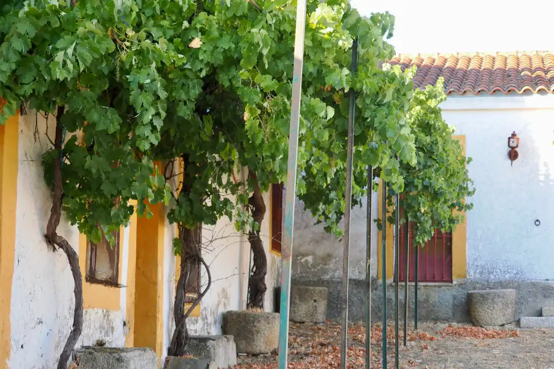 Terreni e lotti in vendita a Casco Antiguo, imagen 6