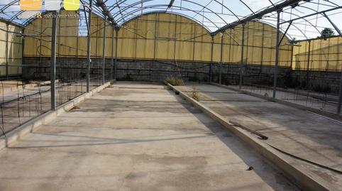 Foto 2 de Finca rústica en venda a El Tossal - Bello Horizonte, La Nucia