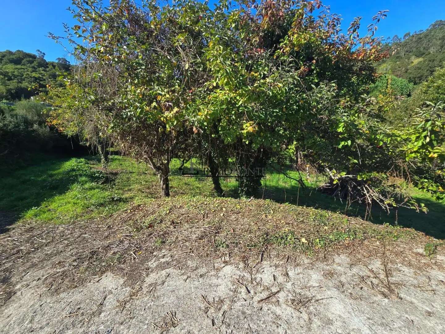 Casa o xalet en venda en Cerdedo amb Jardí privat