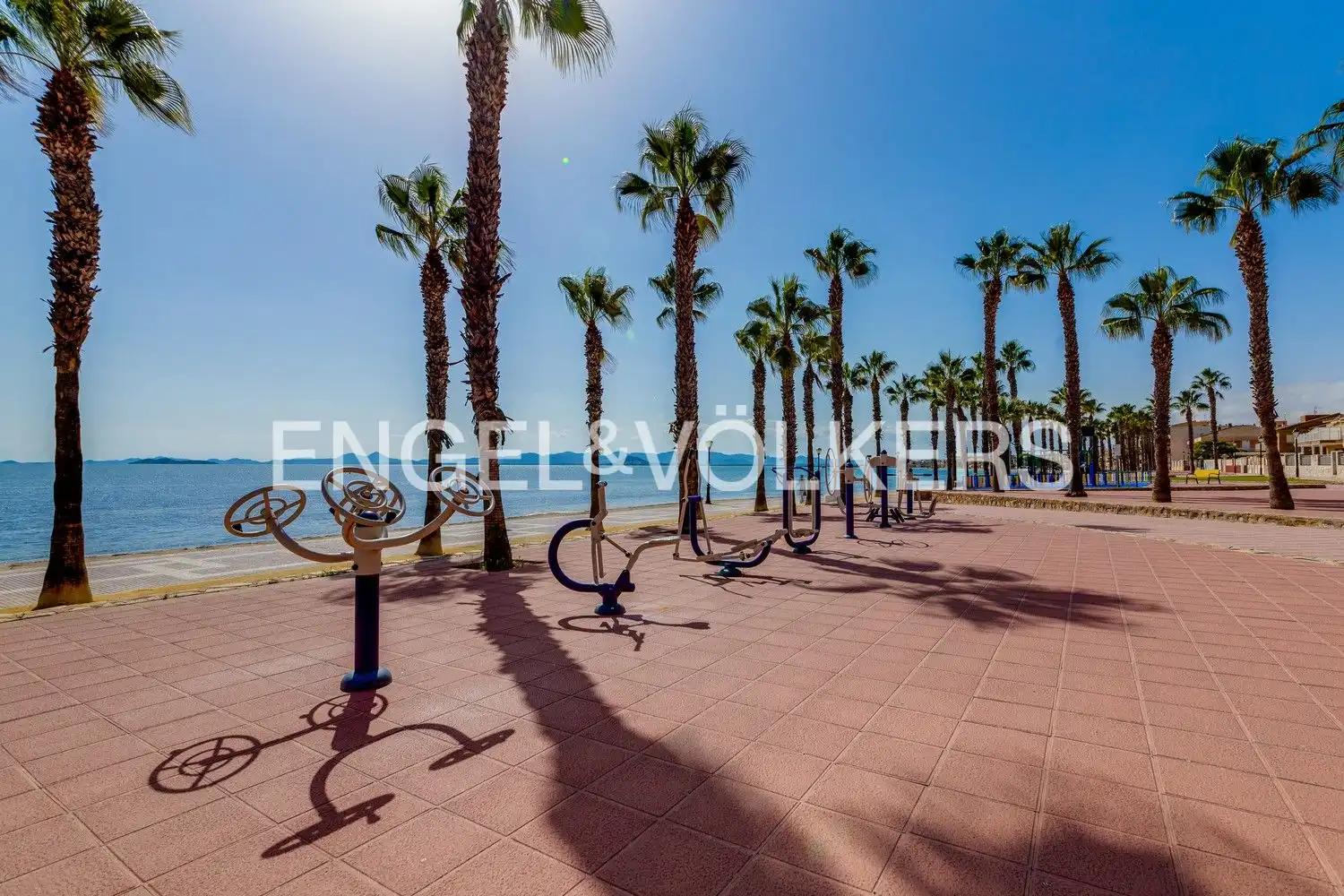 Vista exterior de Casa o chalet en venta en San Pedro del Pinatar con Aire acondicionado, Calefacción y Jardín privado