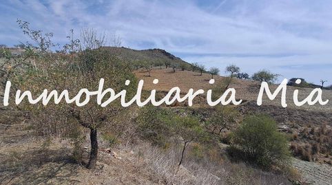 Se vende Finca con casa a reformar, imatge 3