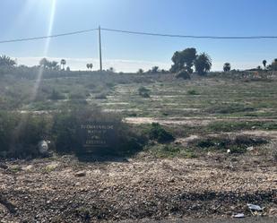 Land for sale in Elche / Elx