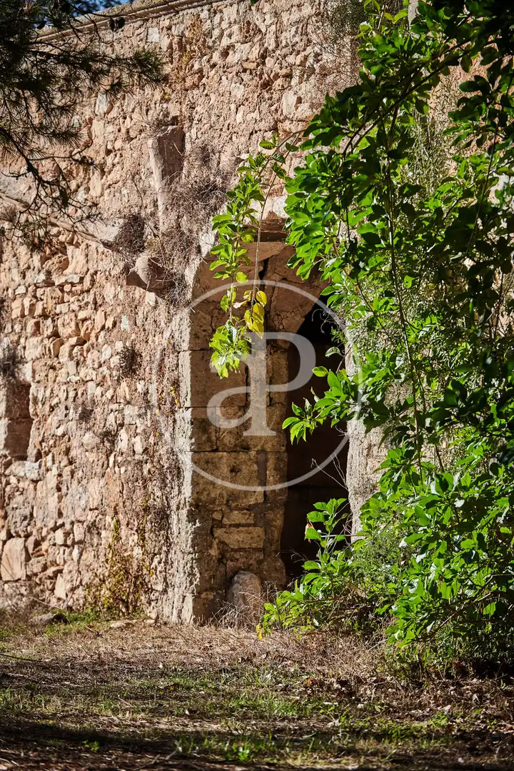 Casa rústica en venda a Porreres, imagen 15