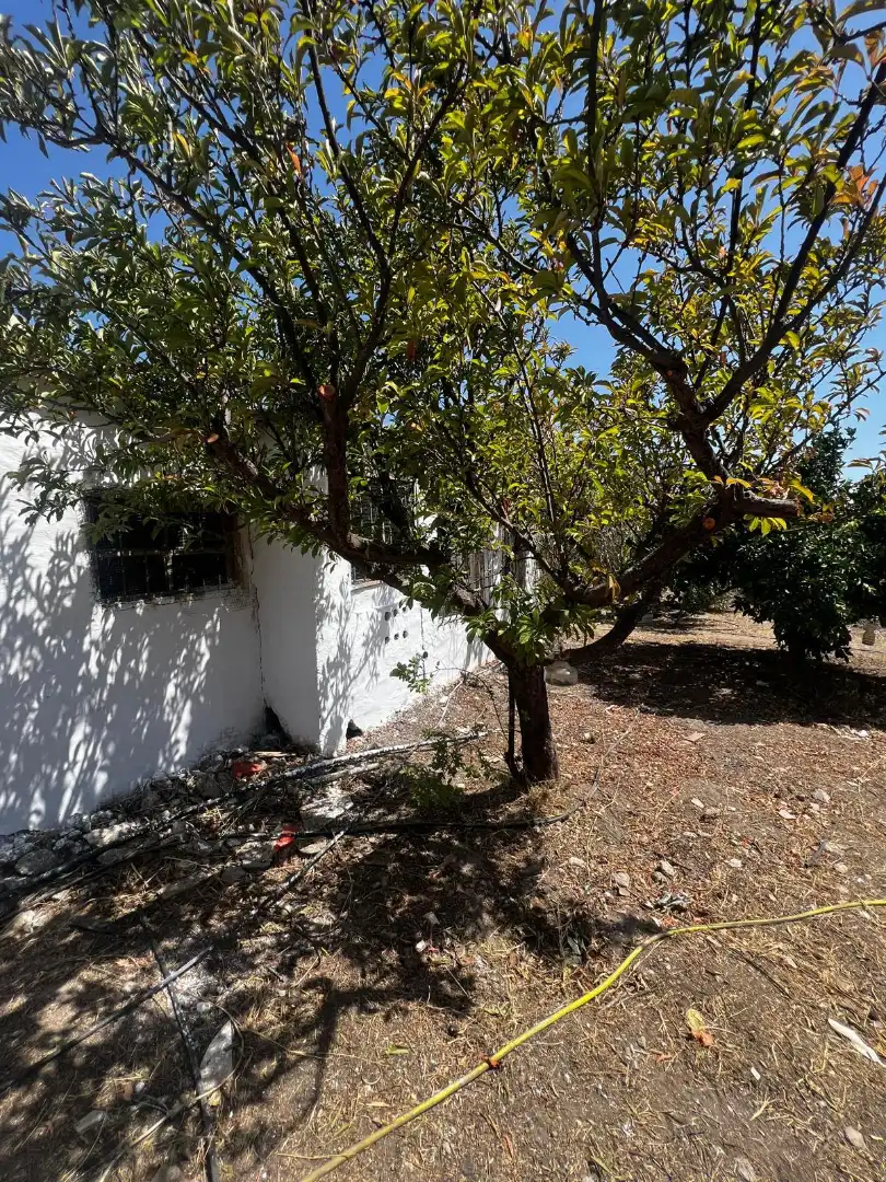 Casa rústica en venta en Carretera a Galachar, imagen 17