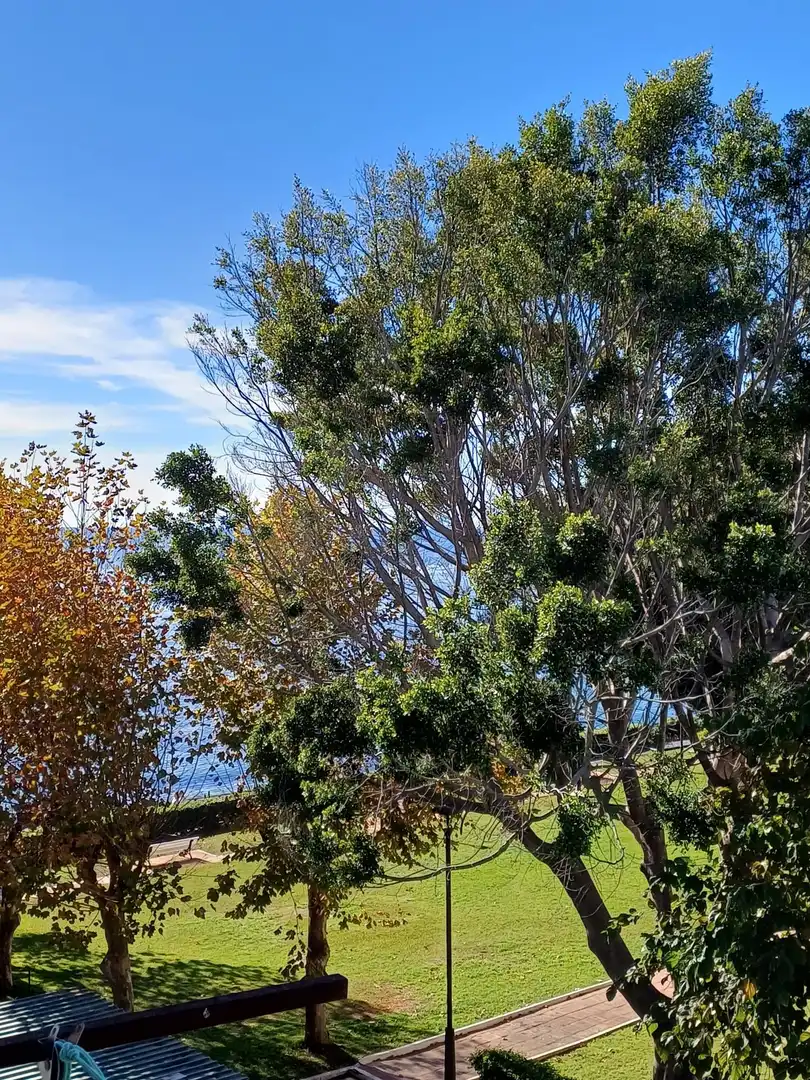Exterior view of Study for sale in Estepona  with Air Conditioner, Heating and Terrace