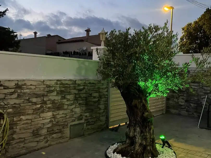 Semi-detached house with pool for sale in islas canarias 1, imagen 9