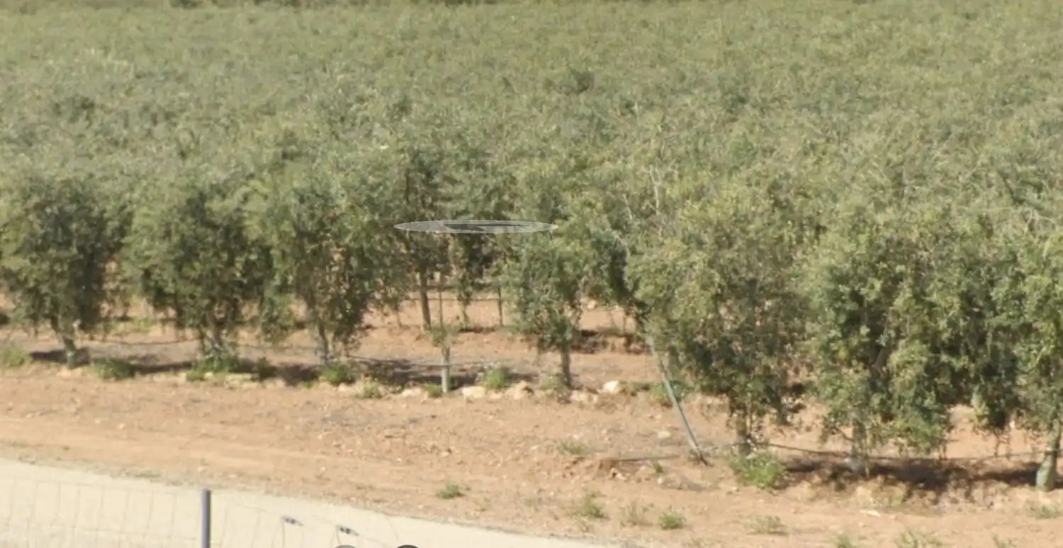 Terreni e lotti in vendita a Hellín, imagen 2