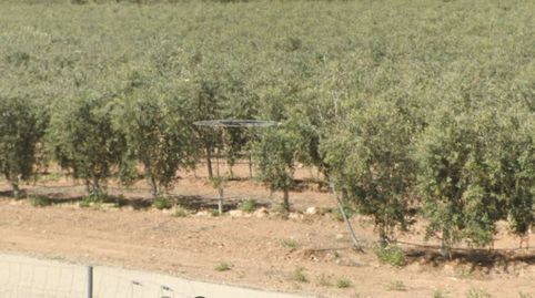 Terreno en venta en Campos Hellin Rusticos., immagine 2
