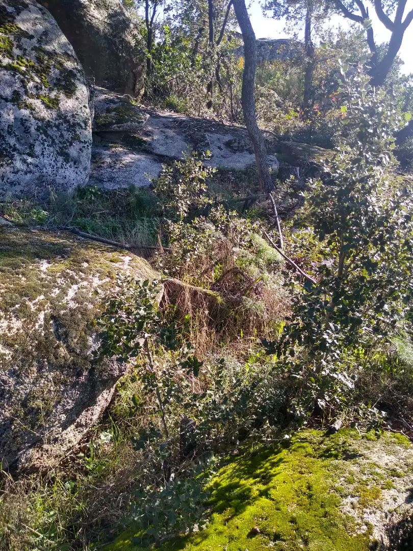 Rural land for sale in Cadalso de los Vidrios, imagen 13